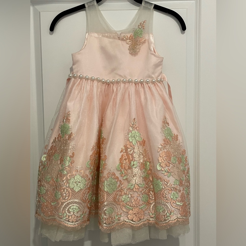 NWT American Princess Girl’s Special Occasion Dress Size 6 pink w/ green leaves